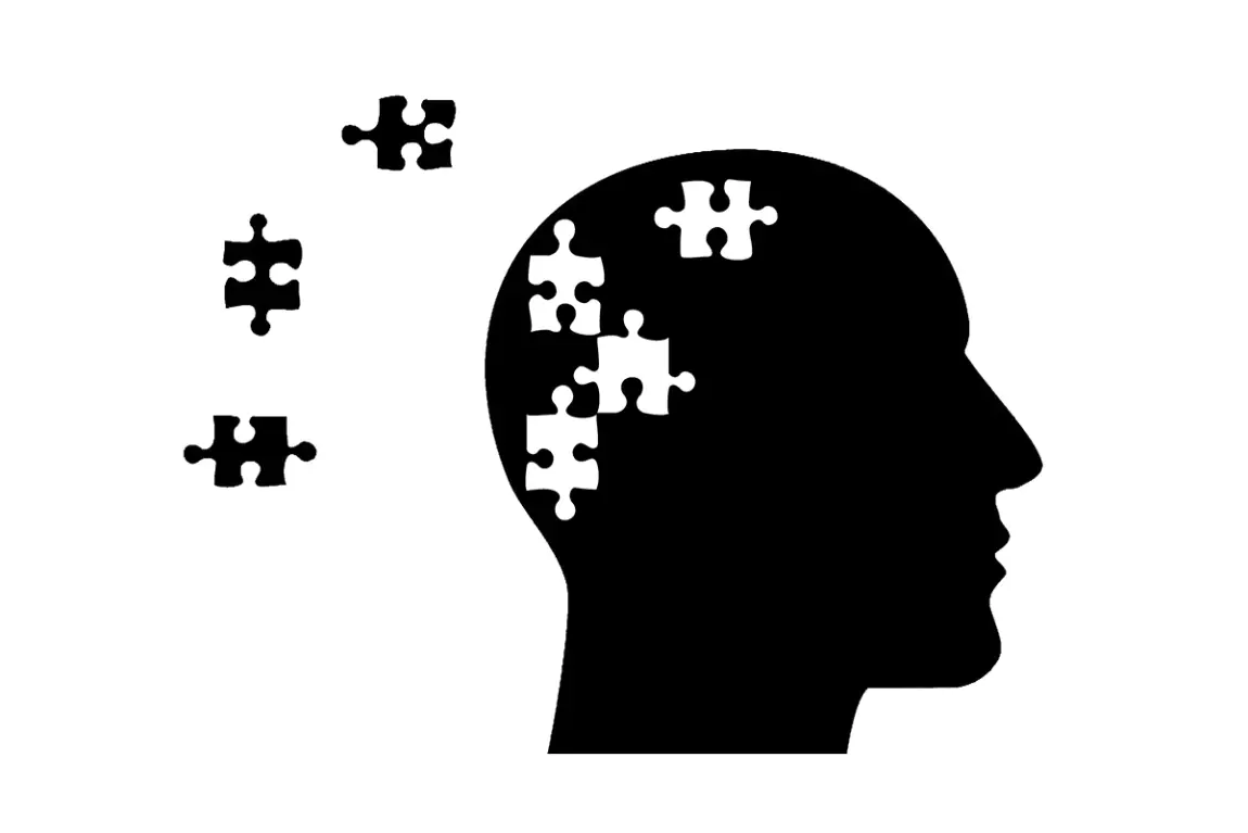 Hjärnan med lösa pusselbitar