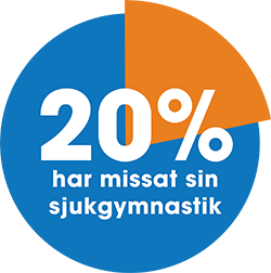 Tårtdiagram: 20% har missta sin djukgymnastik
